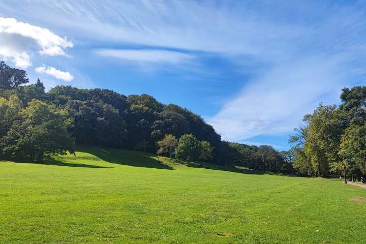 Open green field with trees under a blue sky with wispy clouds.