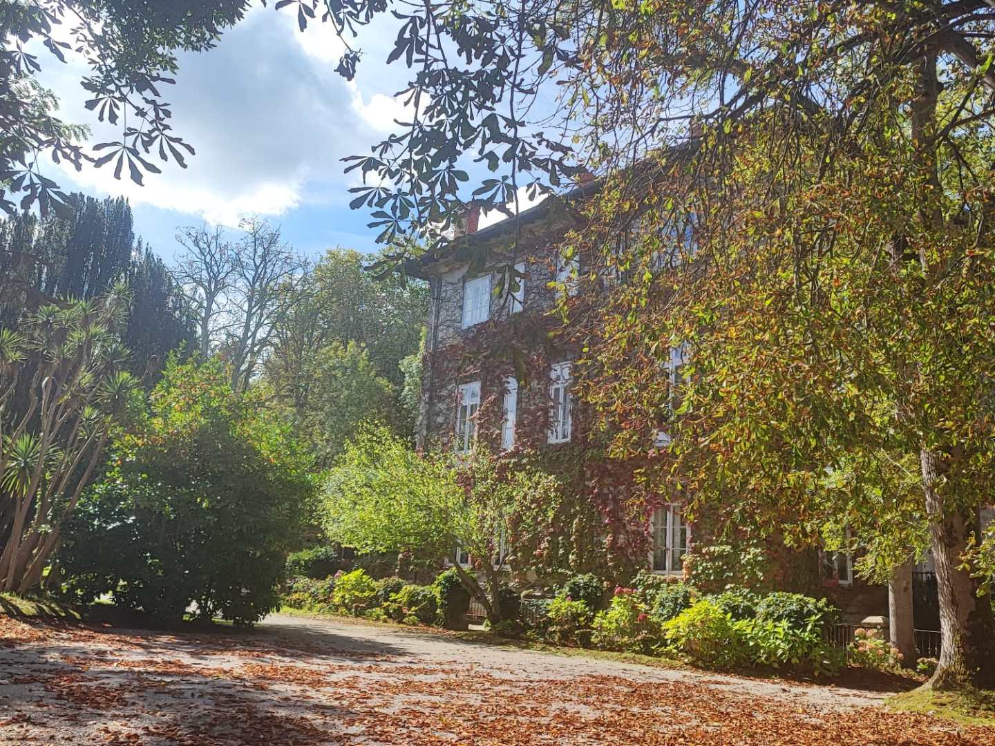 Large brick house in a garden with trees and fallen leaves.